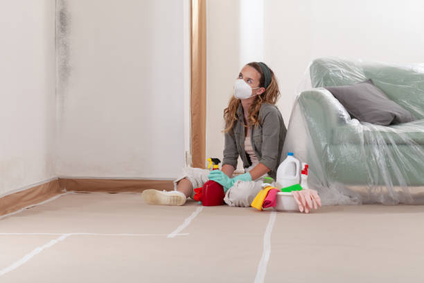 Reliable Mold Testing contractor in Adamstown, MD by WQB Mold Removal